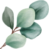 FAQ Často kladené dotazy a odpovědi | Bodyheal FAQ Často kladené dotazy a odpovědi | Bodyheal