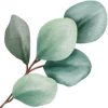 FAQ Často kladené dotazy a odpovědi | Bodyheal FAQ Často kladené dotazy a odpovědi | Bodyheal