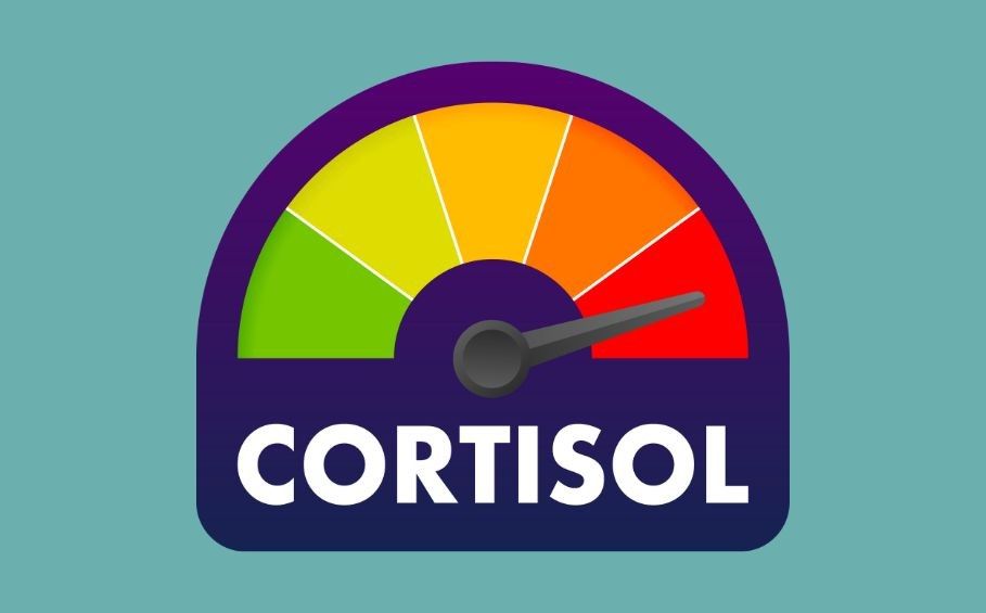 Stres, únava, nespavost? Možná je na vině kortizol.