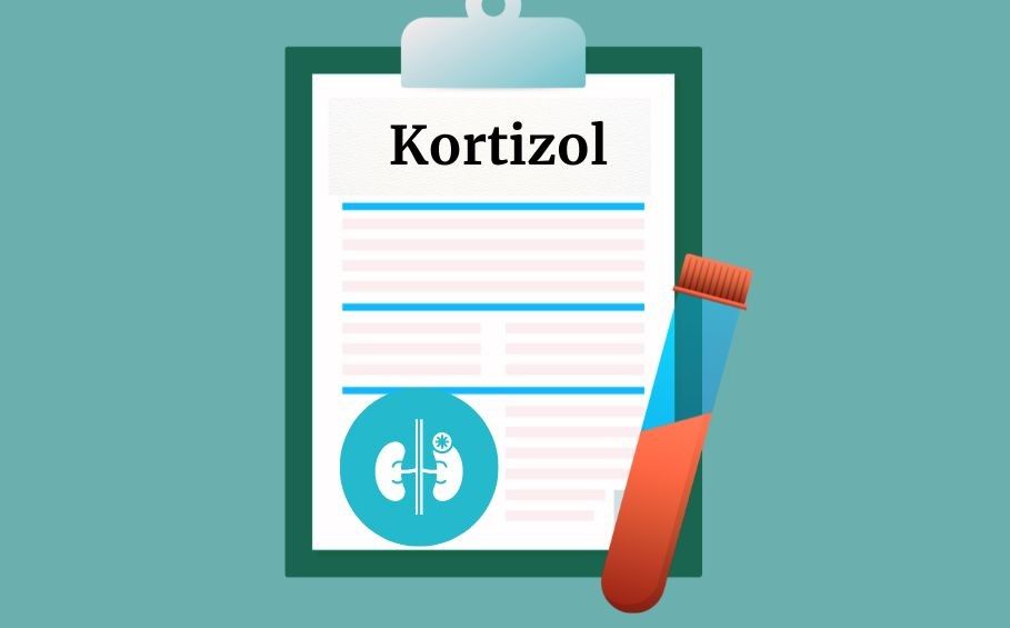 Stres, únava, nespavost? Možná je na vině kortizol.