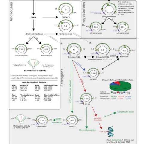 Hormonální test DUTCH - Analýza hormonů, kortizolu a oxidačního stresu