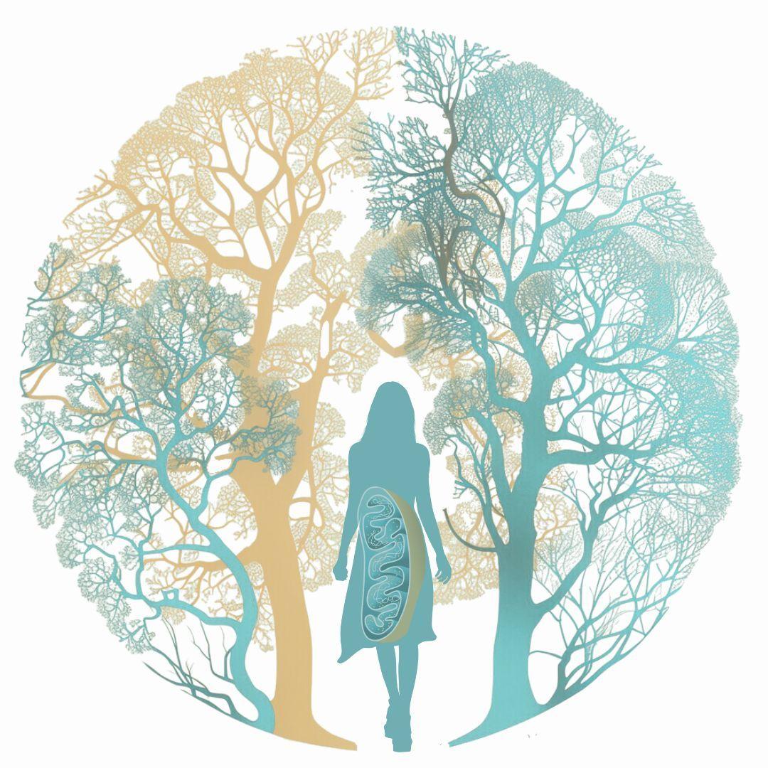 OAT Test - Analýza organických kyselin | Bodyheal