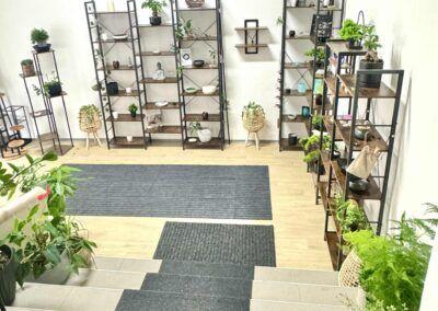 Objevte svět Chizen | Workshopy a prodej svíček