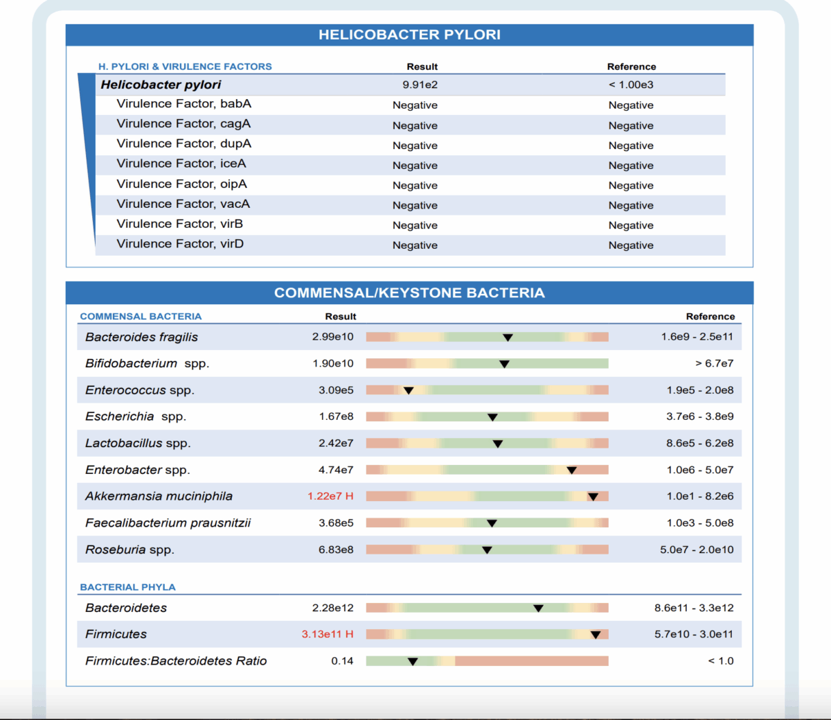 Analýza mikrobiomu, střev a trávení | Bodyheal