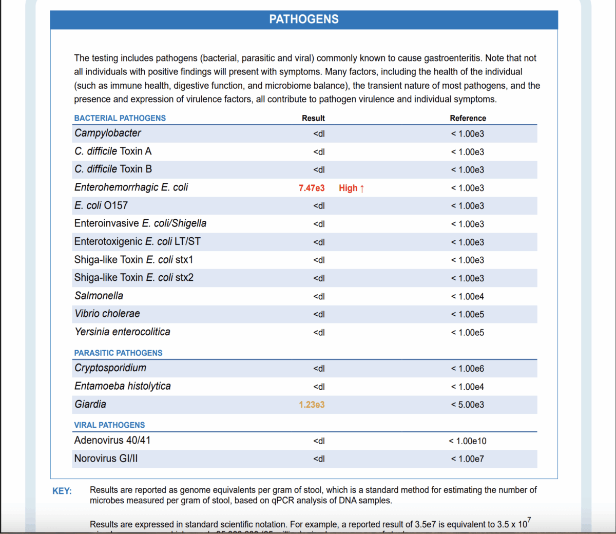Analýza mikrobiomu, střev a trávení | Bodyheal