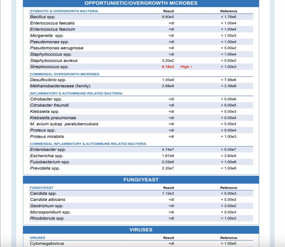 Analýza mikrobiomu, střev a trávení | Bodyheal